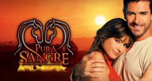 pura-sangre